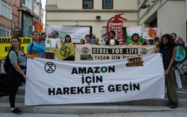 Amazon için harekete geçme zamanı
